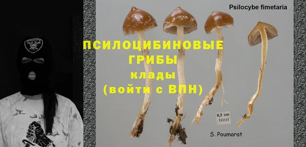 скорость Богданович