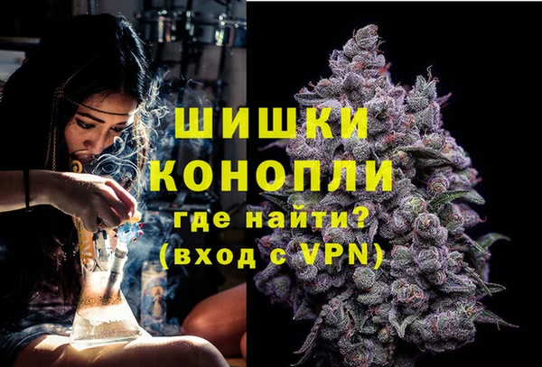 молекула духа Богородск