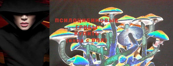 марки lsd Богородицк